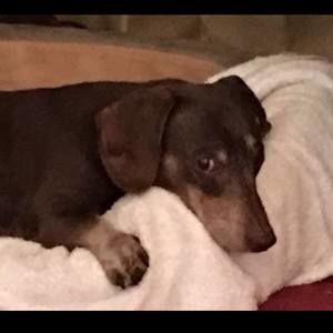 Meet your Posher, Kelly